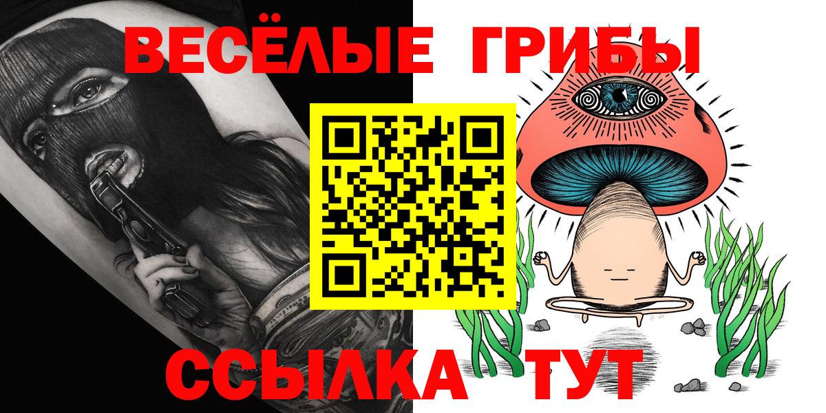 Галлюциногенные грибы Psilocybine cubensis Борисоглебск