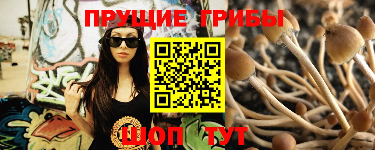 Галлюциногенные грибы Psilocybe  Вход с VPN  Псилоцибиновые грибы мухоморы  Борисоглебск 